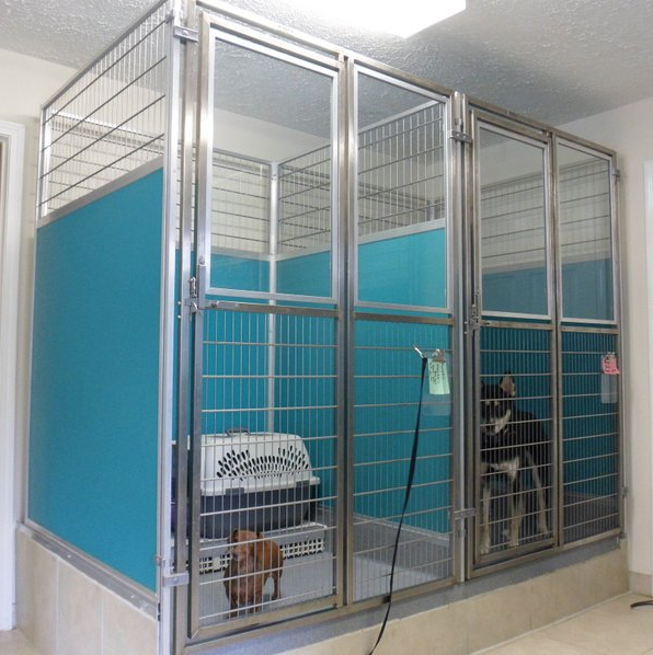 Dog Adoption Kennels - Enclosure system for smaller dogs