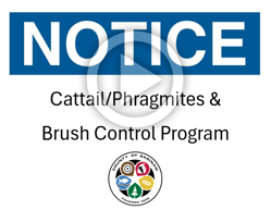 Advanced Notice Cattail/Phragmites & Brush Control Program